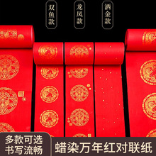 ϞȾ�����հ��֌������f��t��������������������2026�괺