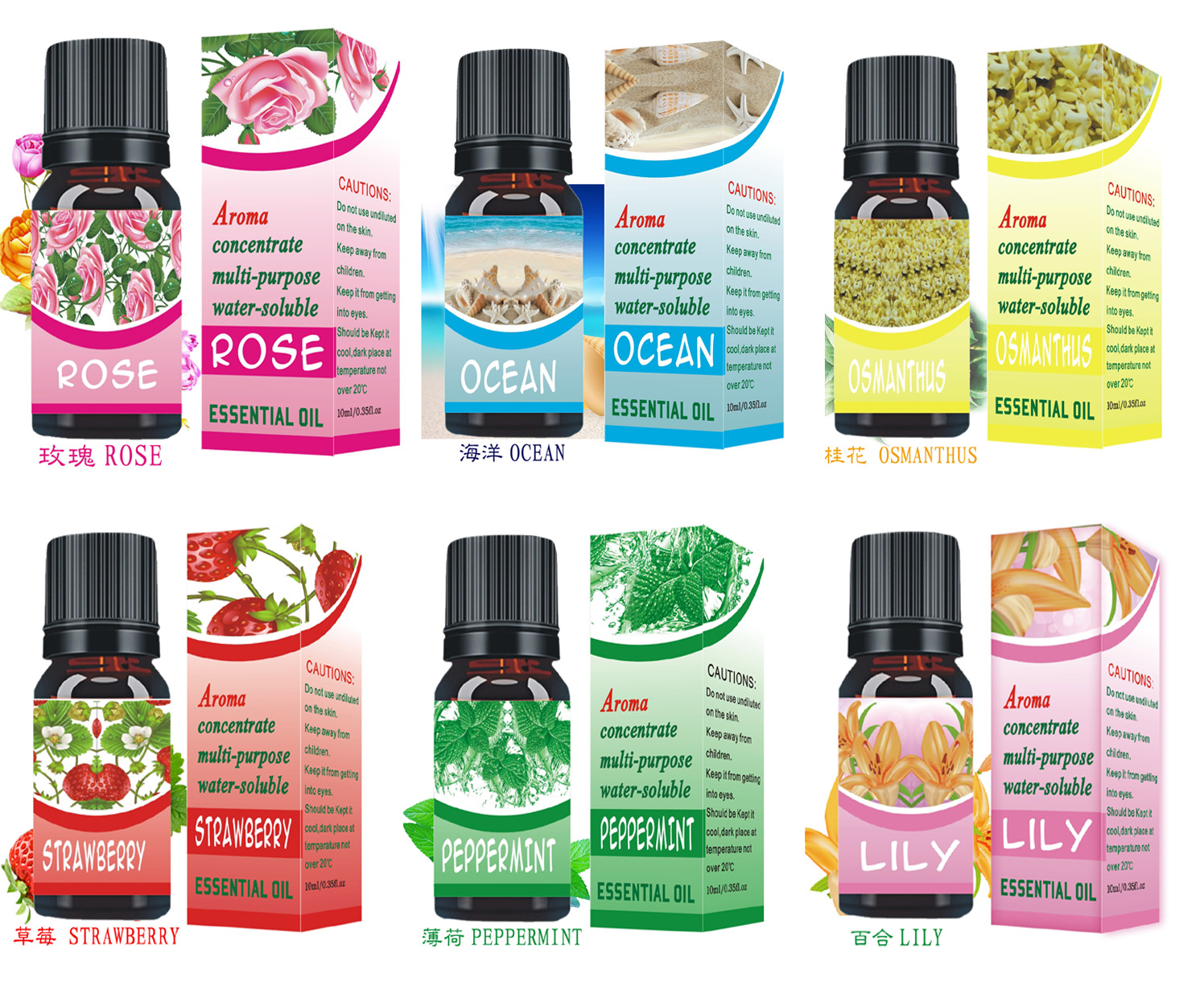 1510后6款不带说明盒+瓶