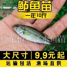 |~ƷN|~·ں|~ˮˮBֳ~