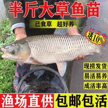 ��ݲ��~�~�絭ˮ�Bֳʳ�����~�ش��r�������~����20�������l