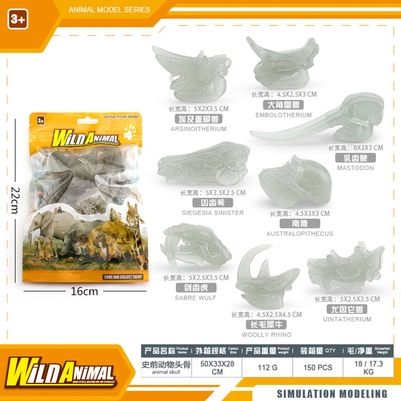 BL - 1261D Cráneo de animal prehistórico 112g