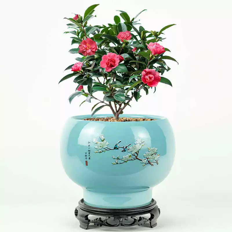 Круглый керамический цветочный горшок большой орхидеи китайский ветер дышащая индивидуальность с основанием зеленая посадка с зеленым укропом и мясом бонсай