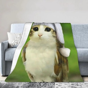 �羳؈Ę؈�^���������l�y�q��ñ�G���m�që̺�Ӽұ�ů���më̺