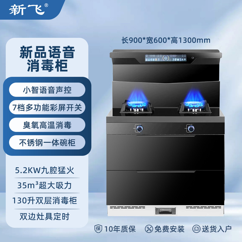 900 소독 캐비닛 주파수 변환 모델(다중 음성 컬러 화면)