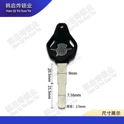 Spring Breeze 450Sr/450Nk/800Nk Chu Motorcycle Key