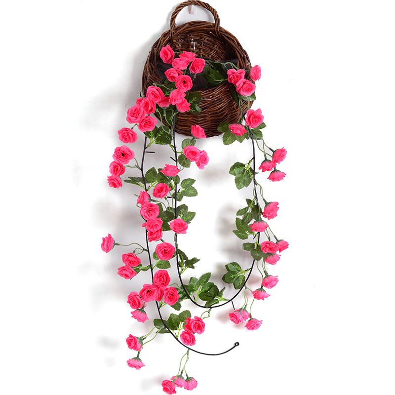 69 Rose vid Rose Red