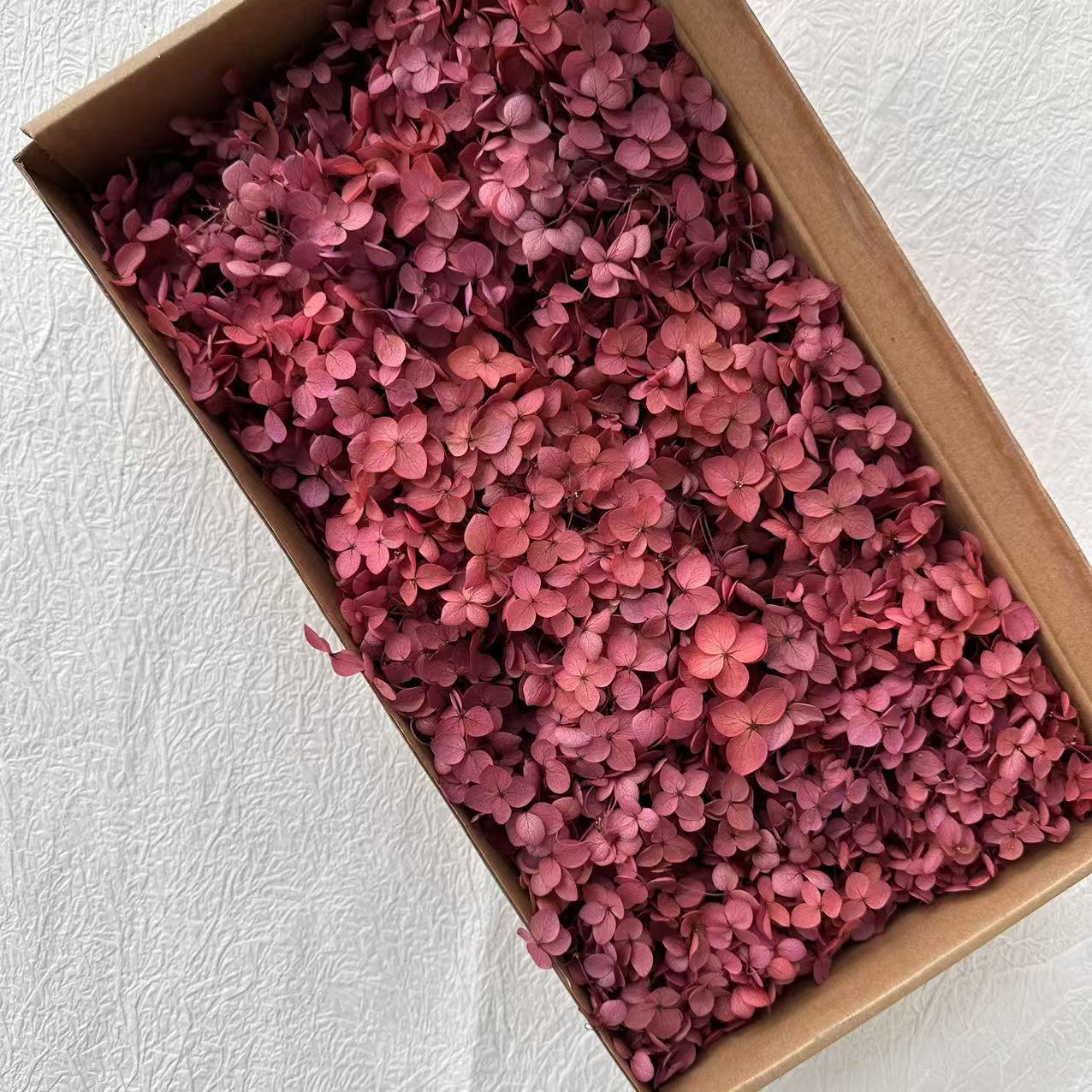 Poudre de viande absorbant la couleur / 5G en boîte
