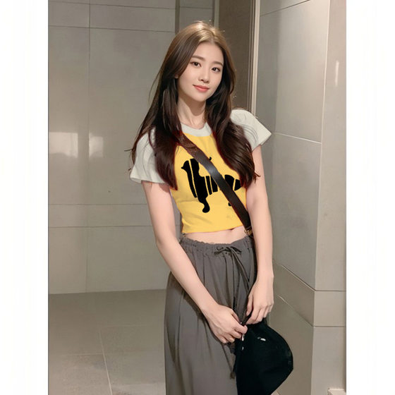 High Street Round Neck Stitching Contrast Color Design T-shirt Summer 2024 New Female Niche Short Shoulder Short Sleeve
