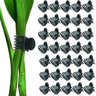 Garden Plant Clip Vegetable Greenhouse Fixing Clip Phalaenopsis Plastic Binding Clip Plant Vine Flower Fixing Special