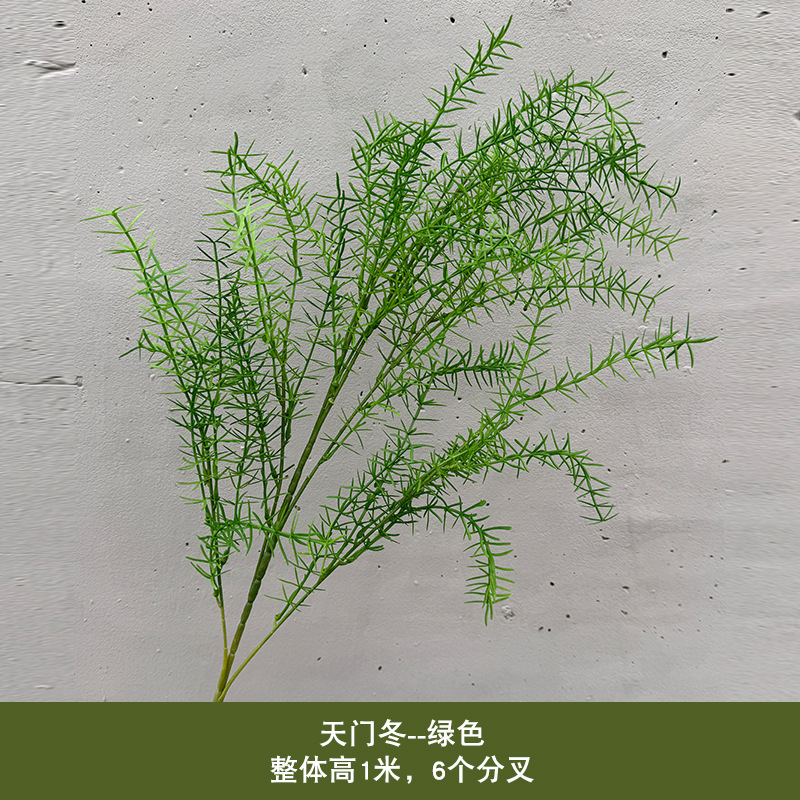 아스파라거스 - 녹색