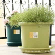 爱丽思Deepot深型高筒花盆月季铁线莲树脂爱丽丝塑料彩色大盆