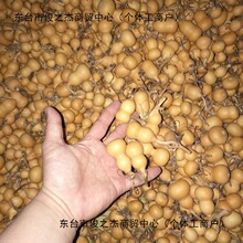 ���J��ȻС���J�]��覴��������Π��������]�п��Ԕ[��Ұ�������F