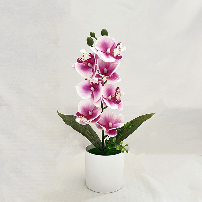 퍼플 하트 (높이 31*가로 20cm)