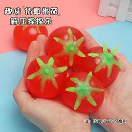 宠物玩具手捏压力球发泄减压解压出气发泄球水球水果球番茄西红柿