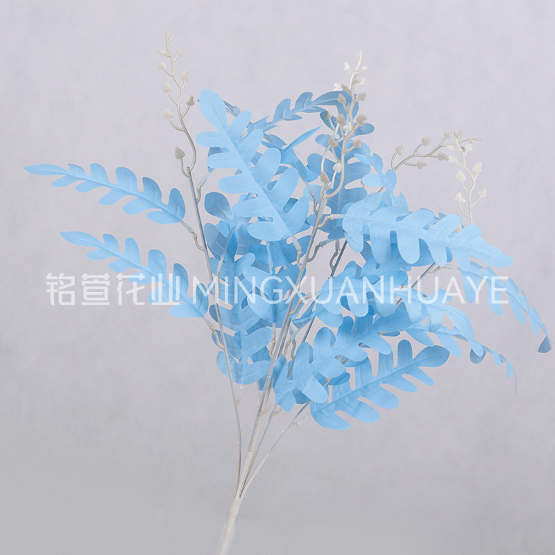 하늘색 - 아카시아 잎 다발