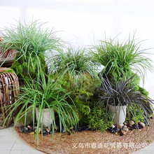 �����z̦�����Լ��L�~�����޾Ƶꙻ������¶�I�L�쾰�҃�ܛ�b�