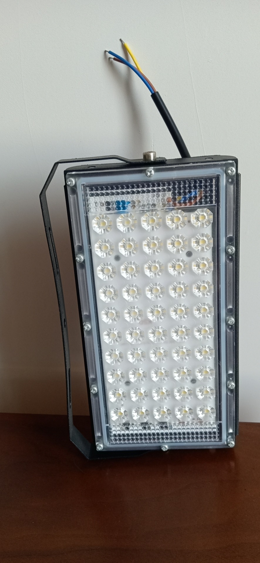 220V 매화 렌즈 화이트 50W