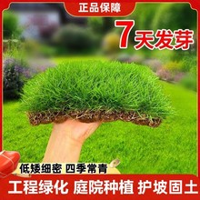 ��ƺ�����ļ����ఫ���������o����ͥԺ���޼��������̺�ݷN����