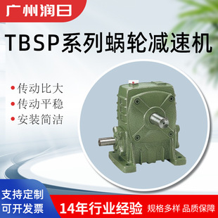 Teco Motor (Teco) Worm Gear Reducer Tbspa