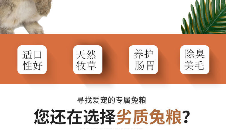 34525028-2ee4-4b4d-9fb1-b8d900784bf4.jpe