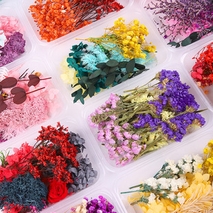 Dried Flower Eternal Flower Children's Handmade Teacher's Day Gift Floating Flower Candle Embossed Decorative Creative DIY Material Bag