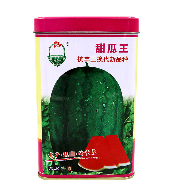 糖麒麟8424西瓜籽 杂交一代椭圆形皮色墨绿肉质细嫩麒麟西瓜种子