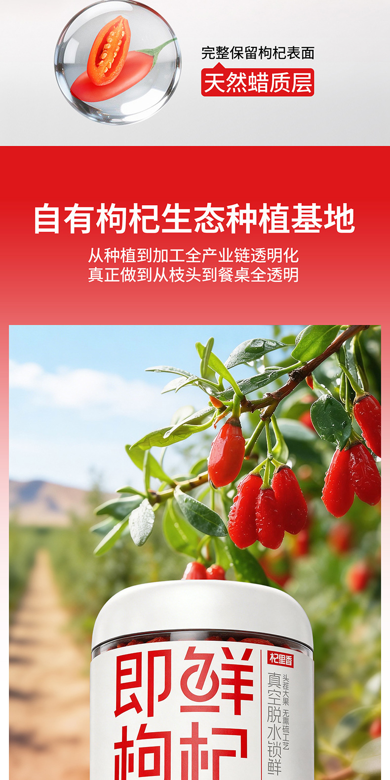 Dried Goji Berries Ready to Eat Ningxia Red Goji 250g Can 220 Pieces key features