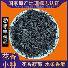 2025С˲ɽBSСͩľɽСNt