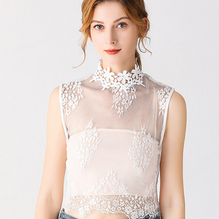 Cross-Border Ozon Japanese and Korean Autumn and Winter Lace Mesh Fake Collar Cut Out Lace Skin-Friendly Shirt Collar Classy Decorative Collar