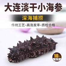 大连野生淡干小海参干货礼盒迷你非即食海渗刺参海生海叁辽参