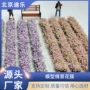 微型情景条状仿真模型