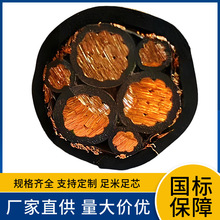 ZR-BPVVP BPVVP2 ZRC-BPVP2VP BPVVRP1 阻燃耐火屏蔽變頻電力電纜