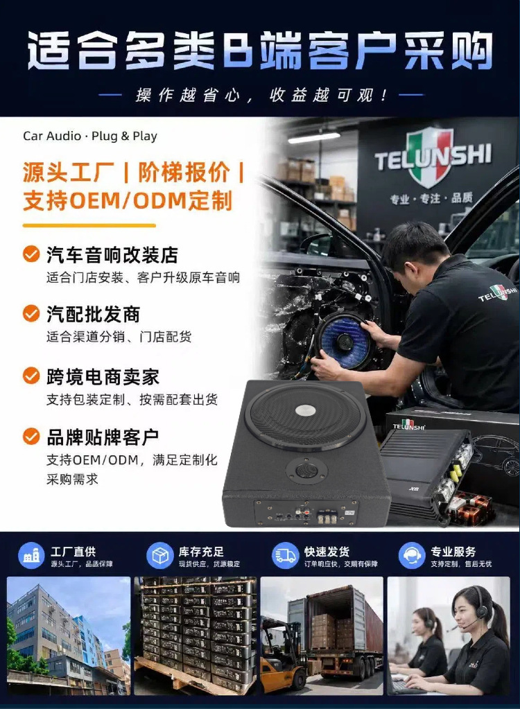 8/ 10inch Car-Mounted Ultra-Thin Subwoofer Wooden Box with Active Bass, Under-Seat Installation, with Tweeter, Bluetooth, Custom-Made, Direct Supply from Factory