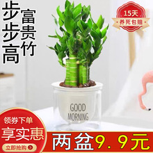 ߹ԾGֲܸF҃ȿ͏dB׻ļD\