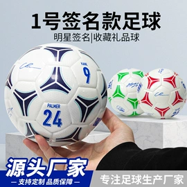 足球;篮球;排球