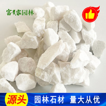 公园绿化庭院造景装饰铺路用水磨石白砾石 白色水洗石厂供