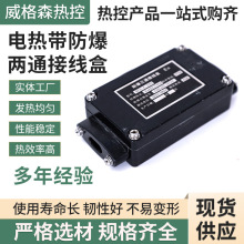 现货供应电伴热带用防爆电源接线盒 二通终端接线盒 加热带配件