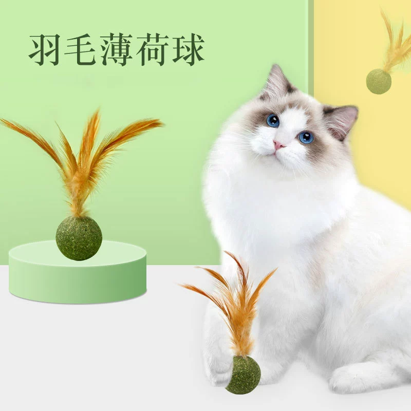 Куриная кошка Мятный шарик Кошка Перо Игрушечный шарик Кошка Закуски
