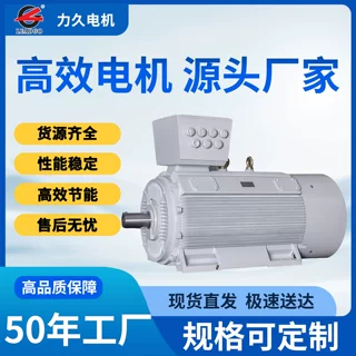 YE3低压大功率电机力久厂家定制电机立式卧式立卧式