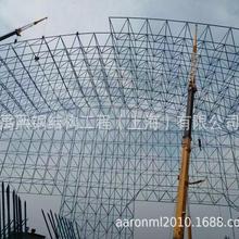 ϺW܏S䓽Y_lMվ 䓽Y_lվ 䓽YW