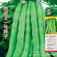 �ض���һ̖���ǷN�ӟo���ļ���ԭ�b�ļ��߲˷N�Ӵ�ȫ�˷N�Ӷ��N��