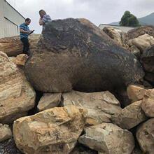 石材观赏石黄蜡石花岗岩