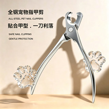 ָ�׵����P�ָ���Q����؈��ָ�׼��Ì���ָ�׼􌣘I������Ȯ��