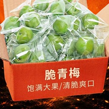 ����÷���÷С���b���÷��ˬ��÷���r�����خa���T������ʳ