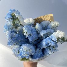 包装花束勿忘我鲜花干花包小清新摆设装饰送老师朋友恋人生日礼物