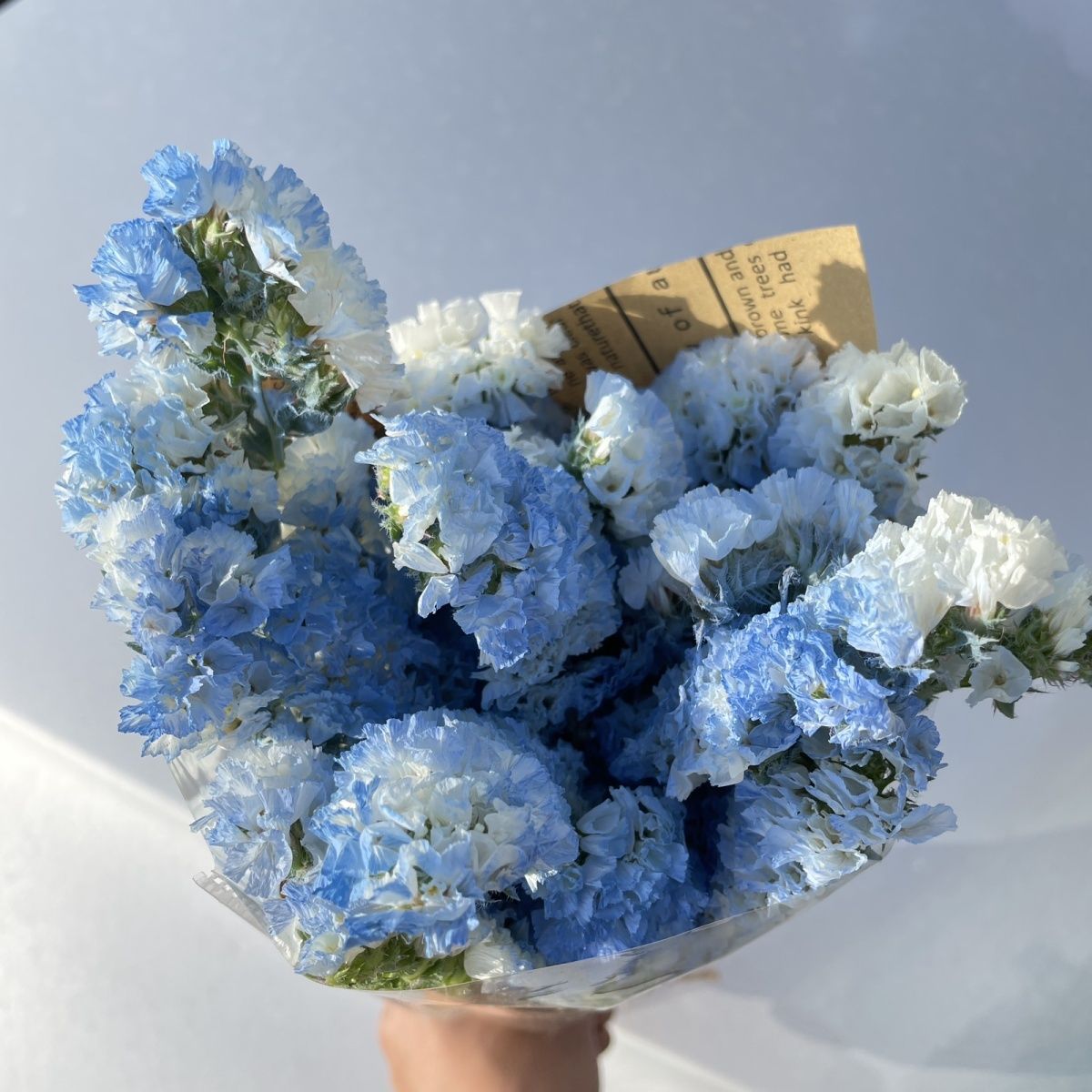 包装花束勿忘我鲜花干花包小清新摆设装饰送老师朋友恋人生日礼物