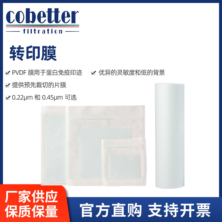 Cobetter科百特PVDF转印膜用于蛋白免疫印迹提供预先裁切的片膜