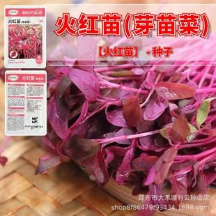 ��t��(ѿ���)�N�Ӽt�{�˷N��ѿ�����ʳ�ø߮a�ļ����͔[�P�߲�