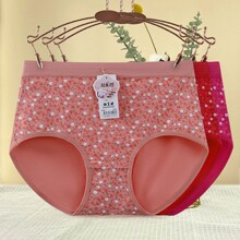 �S��ֱ�N���ރ�ѝŮʿ2024�¿������H�w�黨�Mӡ�p�����d���Ƕ�ѝ