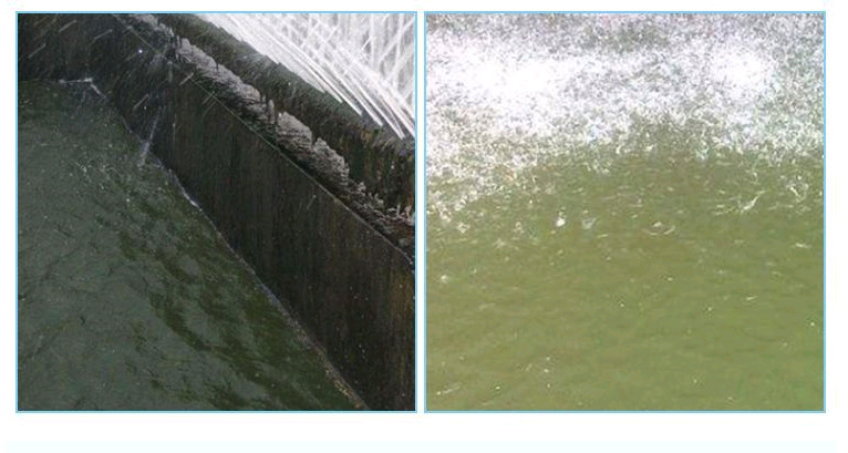 09289e4d16d77669f8260550270054